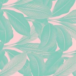 Meet your Posher, Cambry